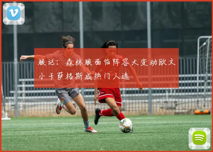 狼记：森林狼面临阵容大变动欧文小卡萨格斯成热门人选