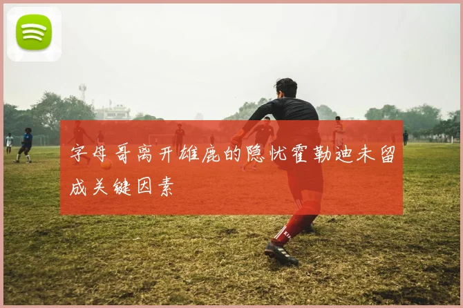字母哥离开雄鹿的隐忧霍勒迪未留成关键因素